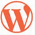 wp rocket(WordPress缓存插件) v3.10.1 汉化版